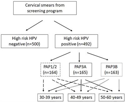 Vaginal dysbiosis seems associated with hrHPV infection in women attending the Dutch Cervical Cancer Screening Program